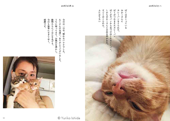 石田ゆり子 ハニオ日記 猫日記 犬日記 ハニオ日記 III 2019-2021 | 石田 ゆり子 |本 | 通販 | Amazon